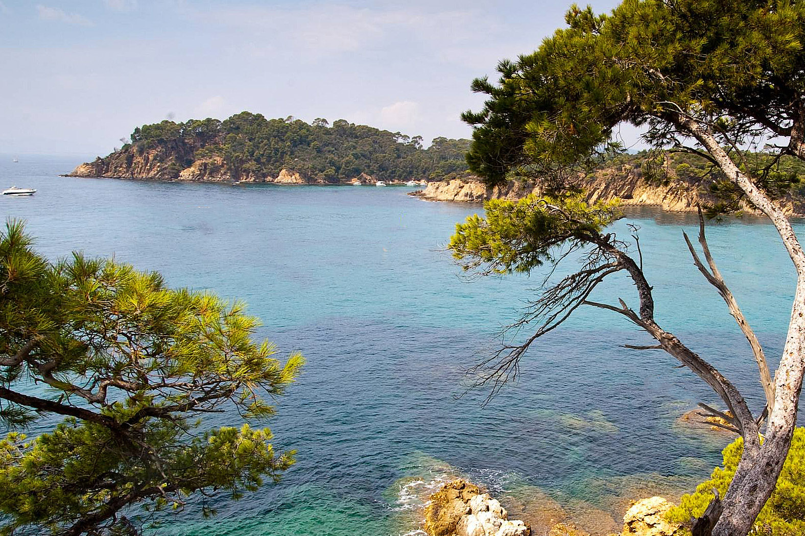Sentier du Littoral en Provence