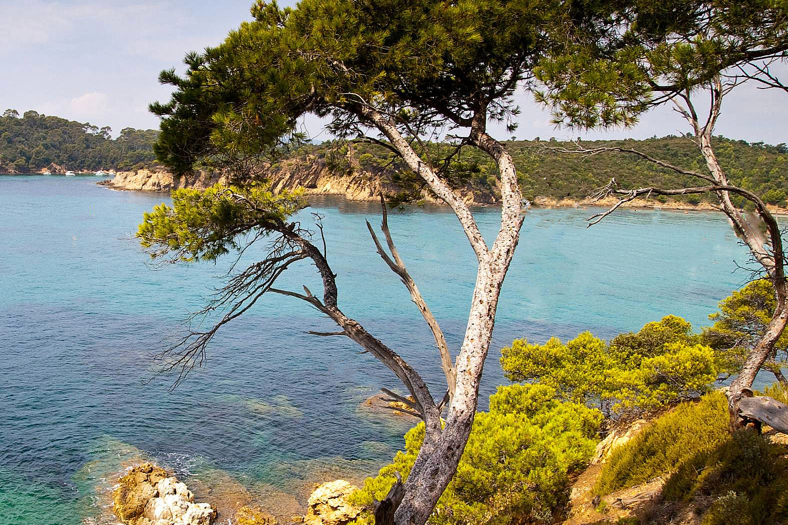 Sentier du Littoral en Provence